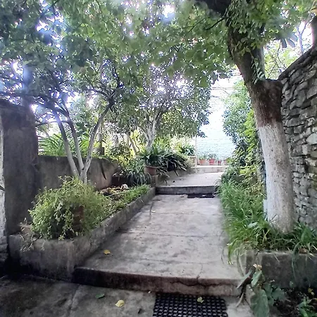 Celo Guest house *
